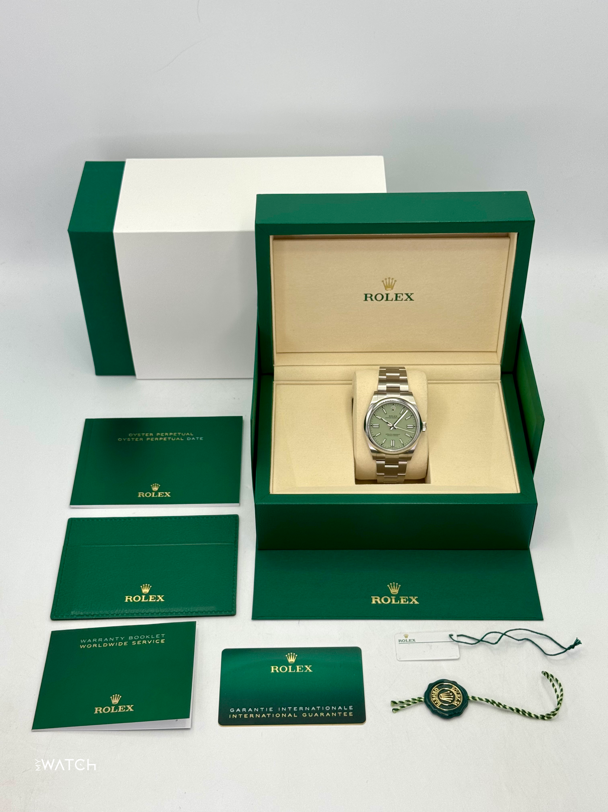 NEW 2025 Rolex Oyster Perpetual 41mm 134300 Pistachio Dial - MyWatchLLC