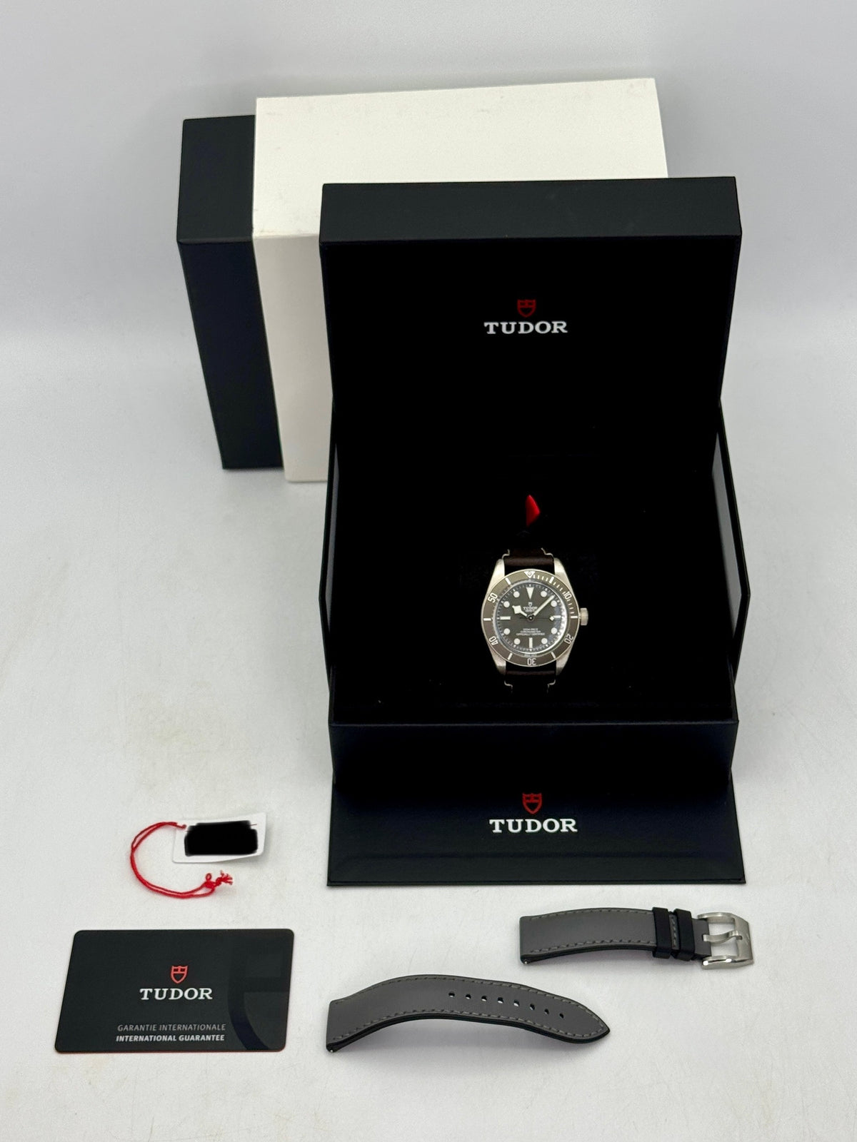 2025 Tudor Black Bay Fifty-Eight 925 Silver Edition 39mm 79010SG Taupe Dial
