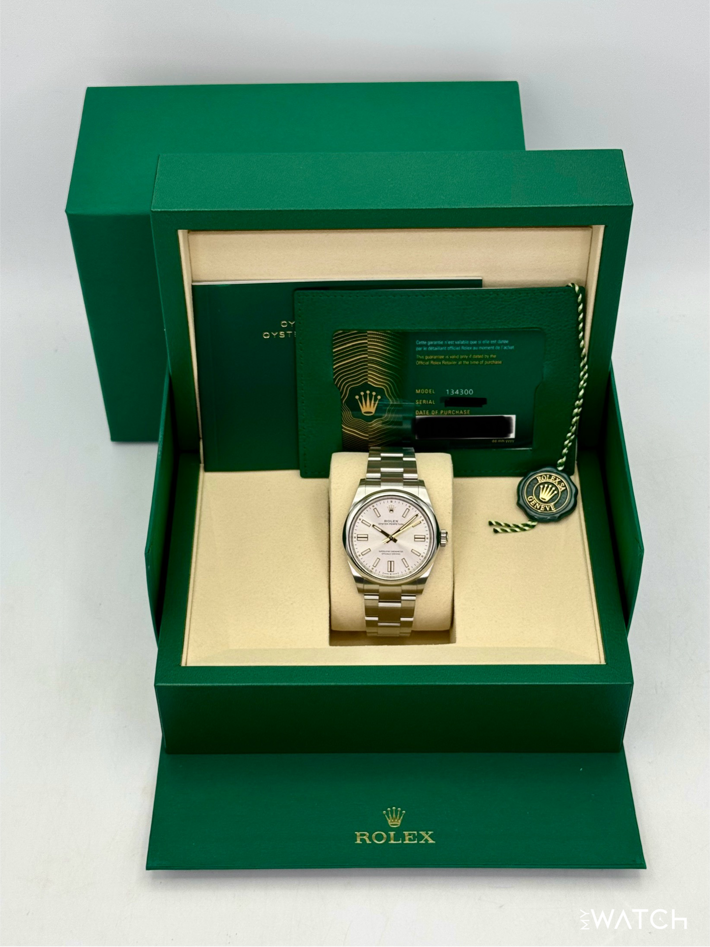 NEW 2026 Rolex Oyster Perpetual 41mm 134300 Silver Dial - MyWatchLLC