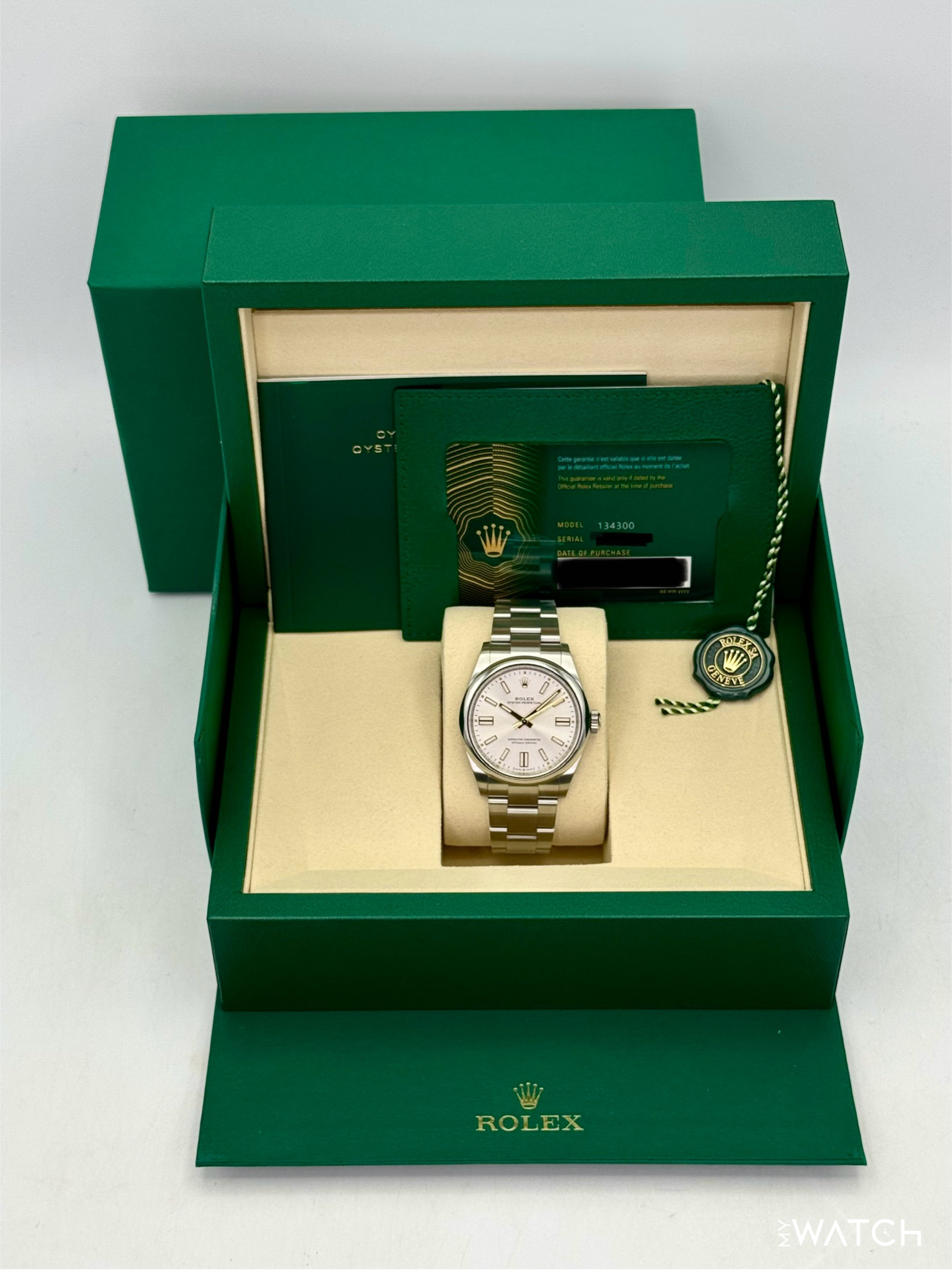NEW 2026 Rolex Oyster Perpetual 41mm 134300 Silver Dial - MyWatchLLC