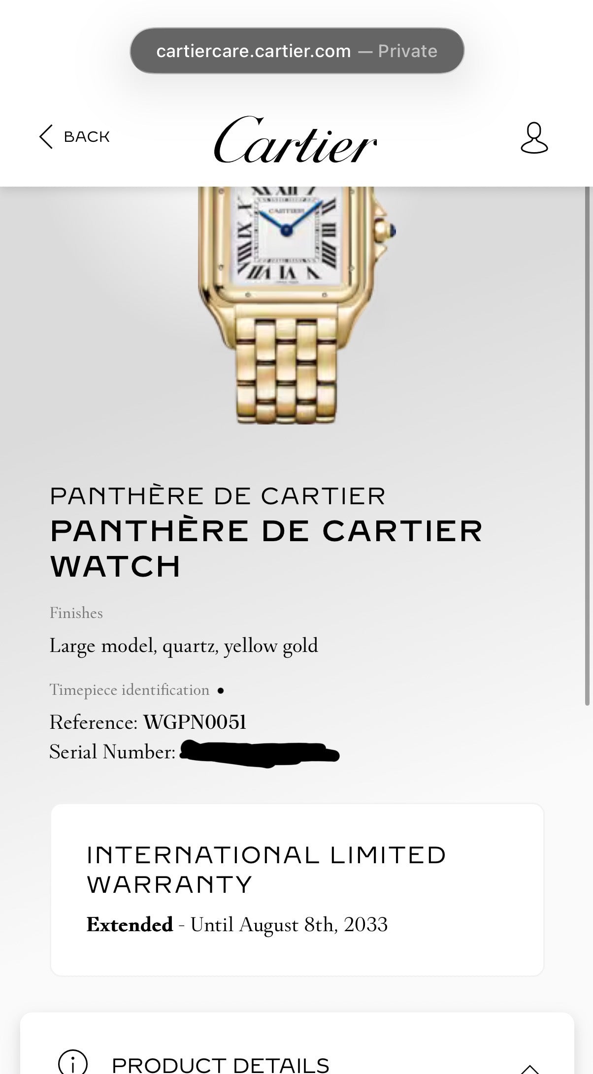 2025 Cartier Panthere De Cartier 31mm WGPN0051 Yellow Gold Silver Dial - MyWatchLLC