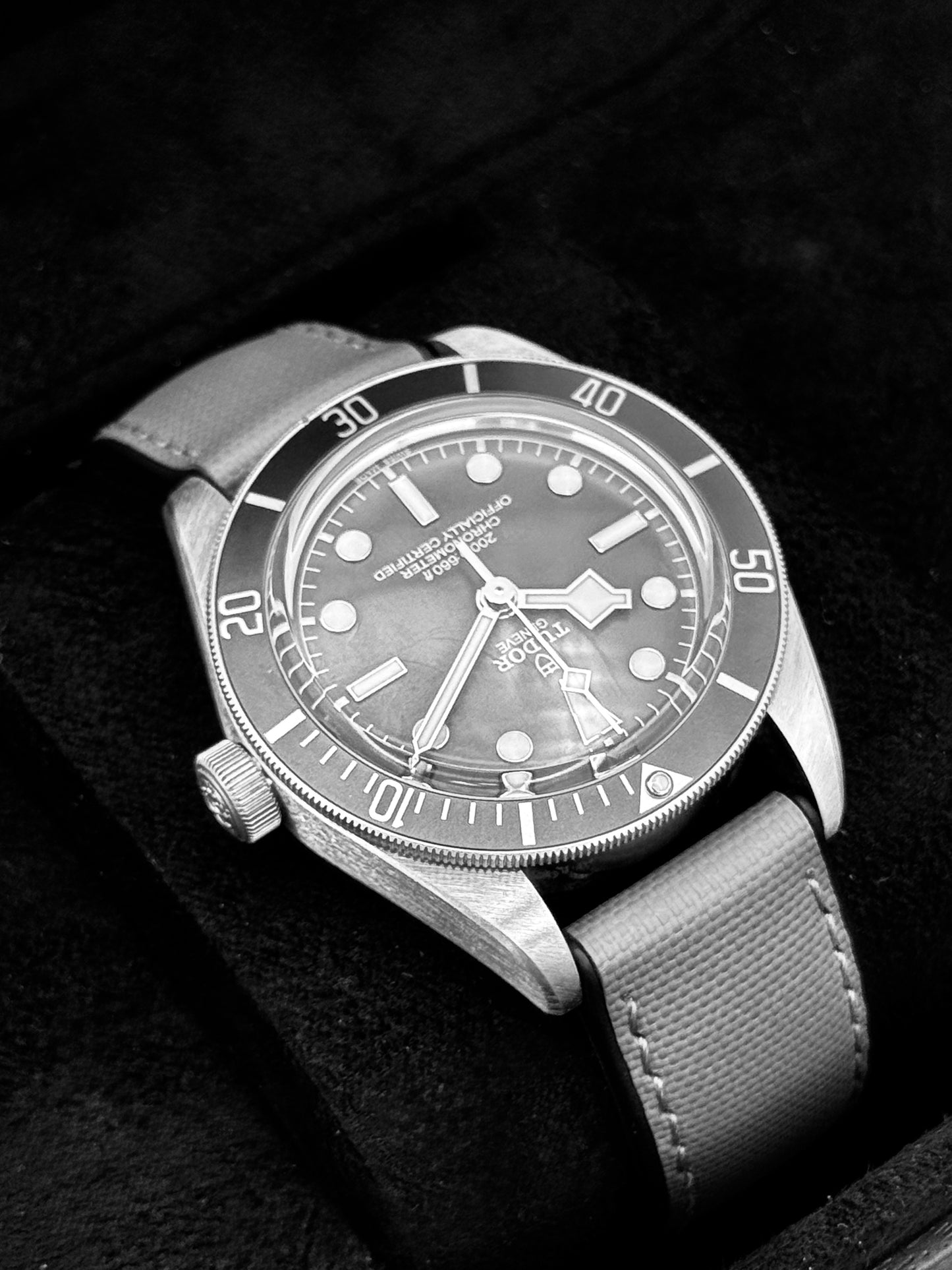 2025 Tudor Black Bay Fifty-Eight 925 Silver Edition 39mm 79010SG Taupe Dial