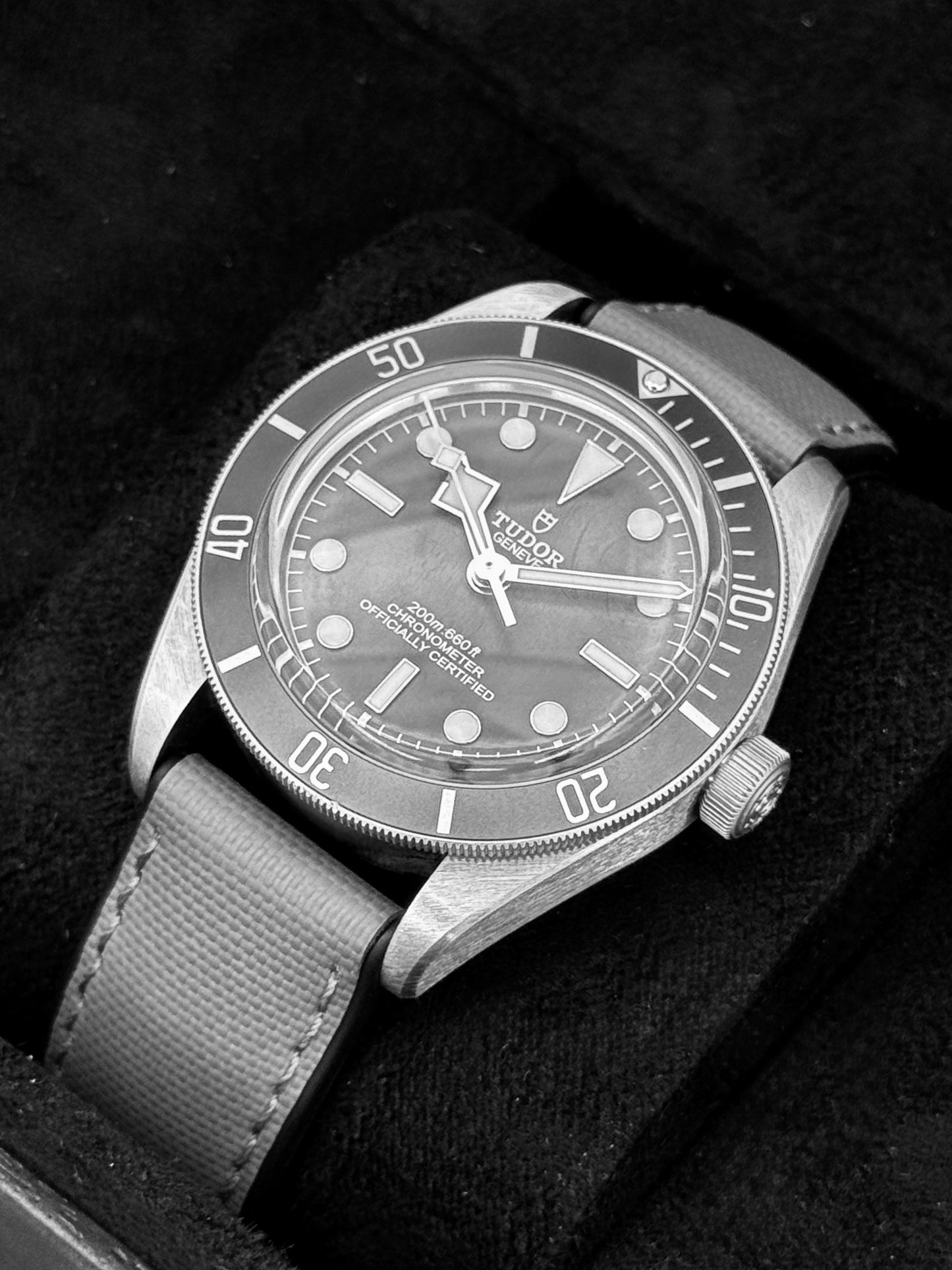2025 Tudor Black Bay Fifty-Eight 925 Silver Edition 39mm 79010SG Taupe Dial