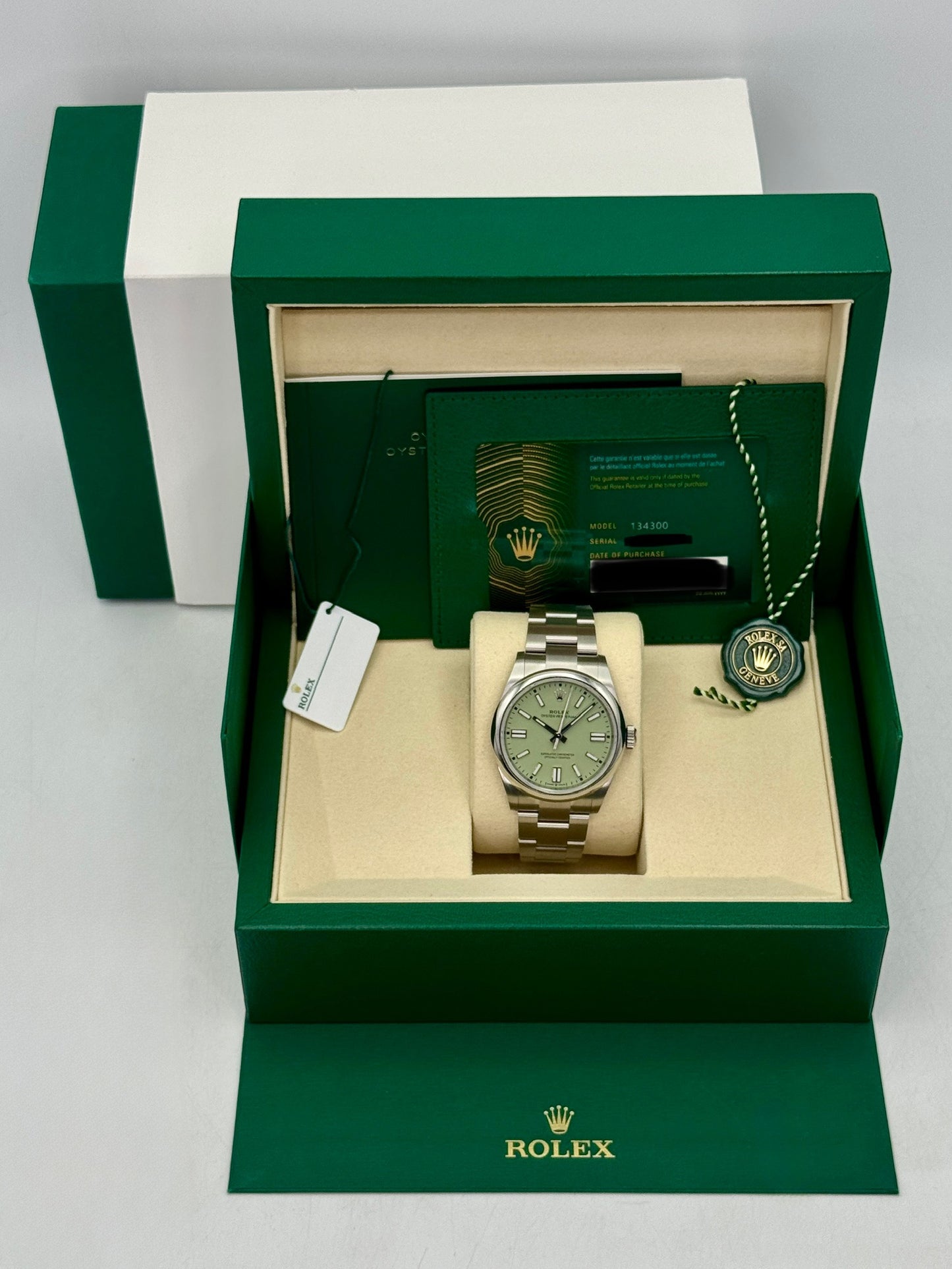 2025 Rolex Oyster Perpetual 41mm 134300 Pistachio Dial