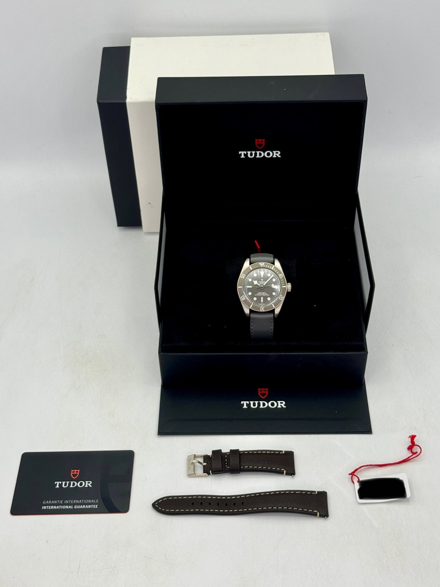 2025 Tudor Black Bay Fifty-Eight 925 Silver Edition 39mm 79010SG Taupe Dial