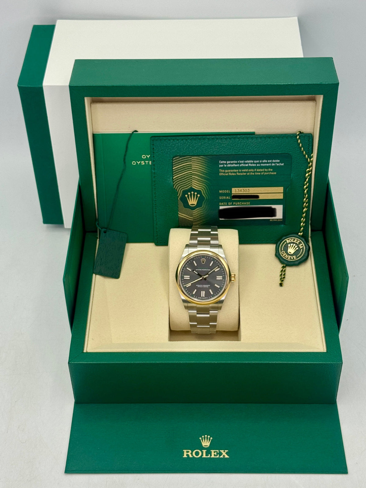 NEW 2026 Rolex Oyster Perpetual 41mm 134303 Slate Dial