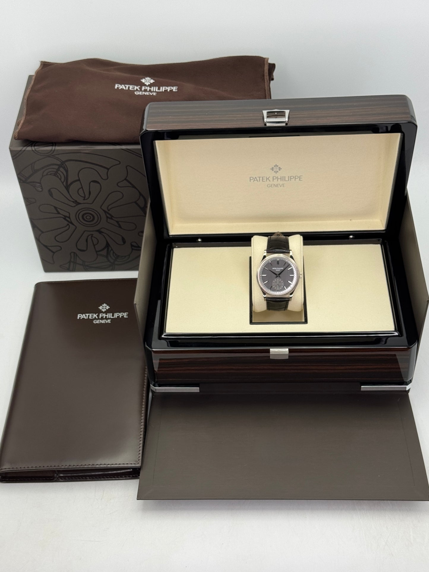 NEW 2026 Patek Philippe Calatrava 40mm 6119G  White Gold Gray Dial