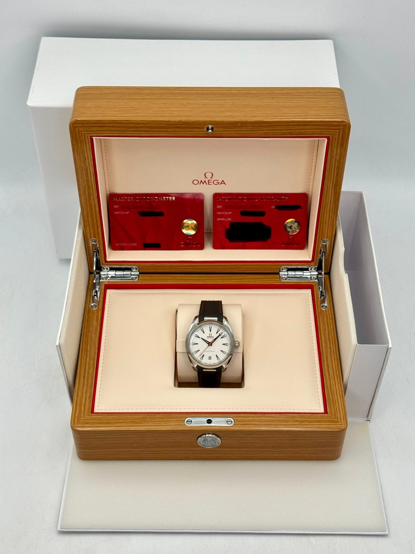 2026 Omega Seamaster Aqua Terra 41mm 220.12.41.21.02.002 Silver Dial