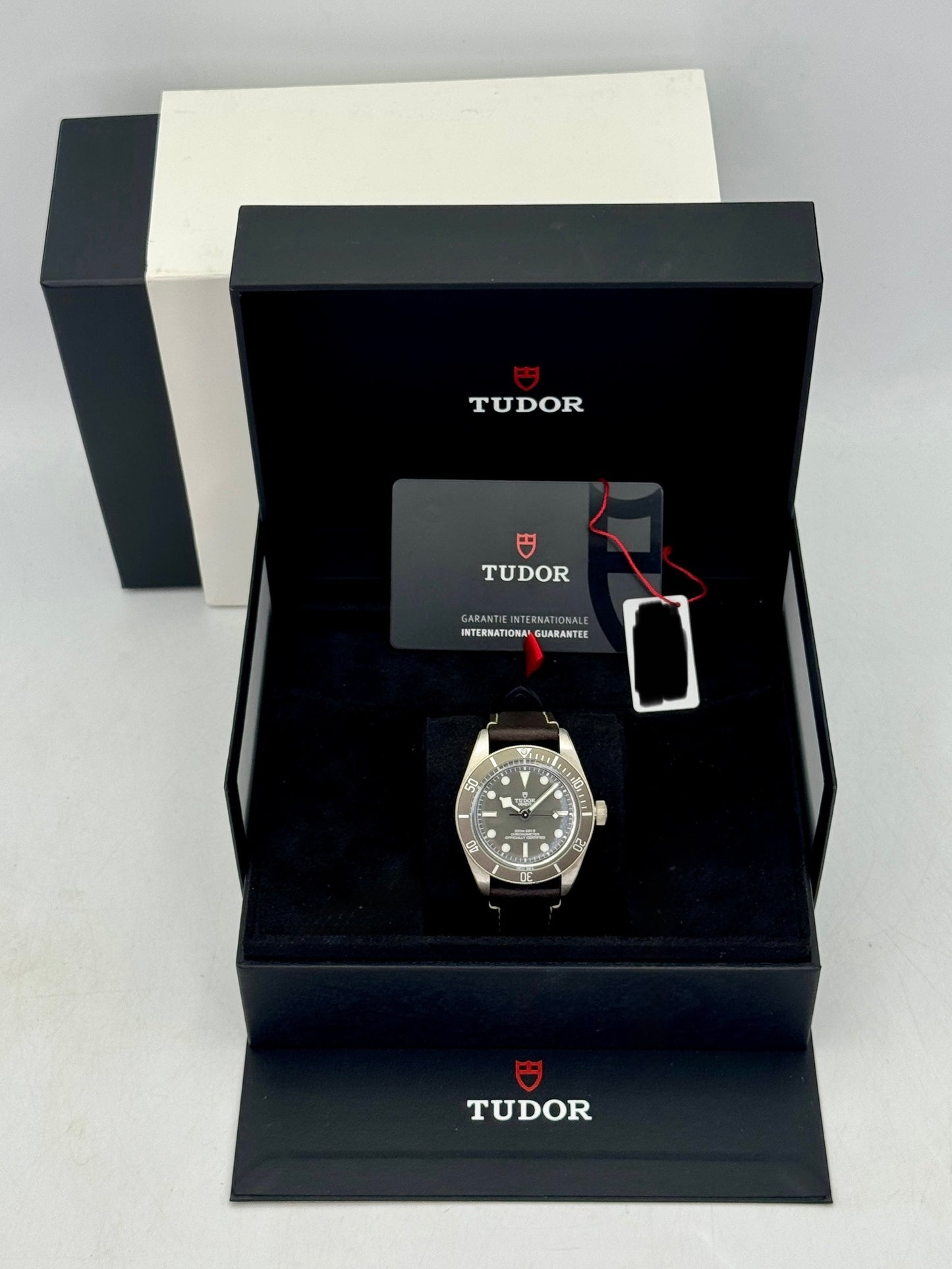 2025 Tudor Black Bay Fifty-Eight 925 Silver Edition 39mm 79010SG Taupe Dial