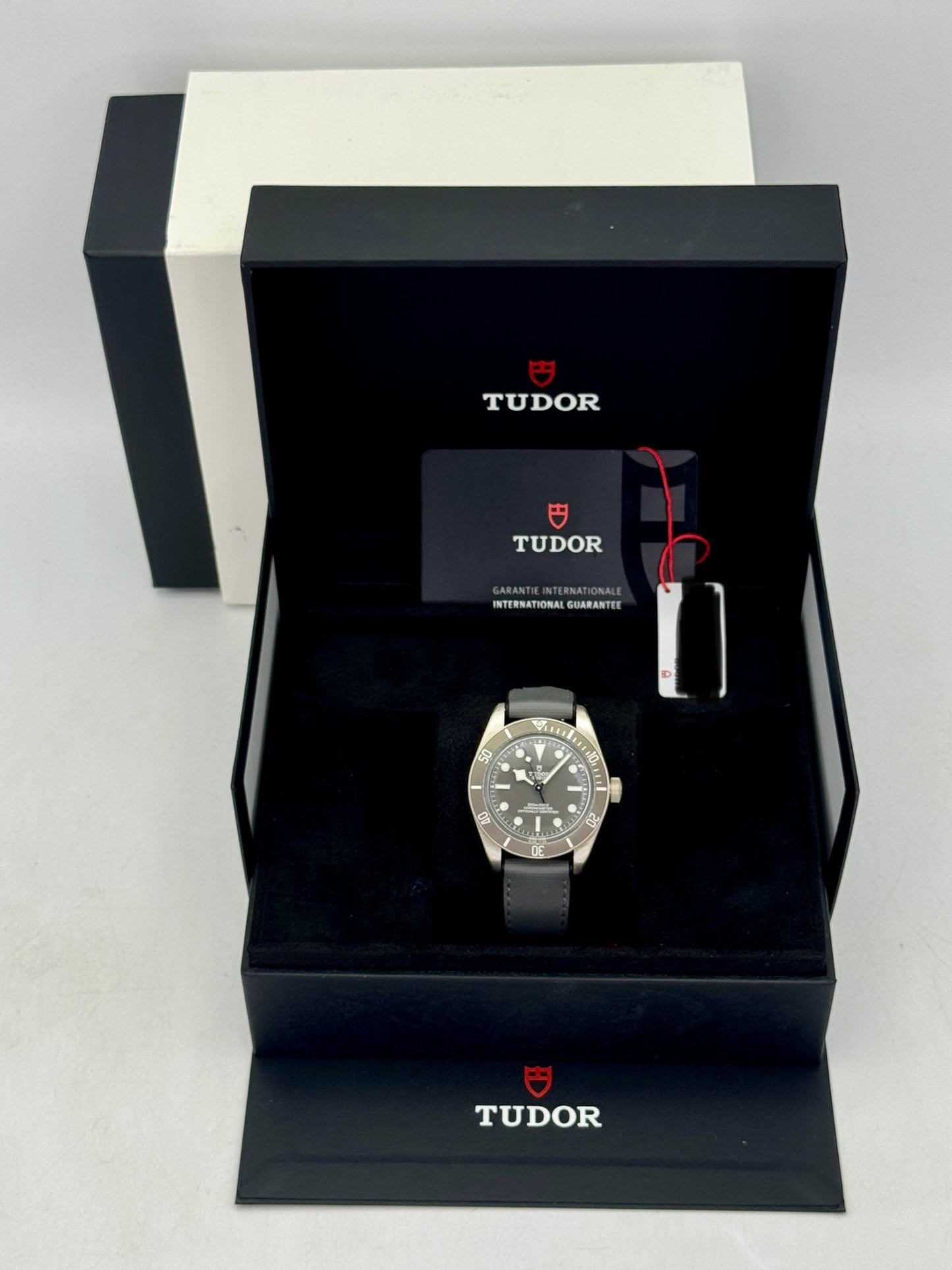 2025 Tudor Black Bay Fifty-Eight 925 Silver Edition 39mm 79010SG Taupe Dial