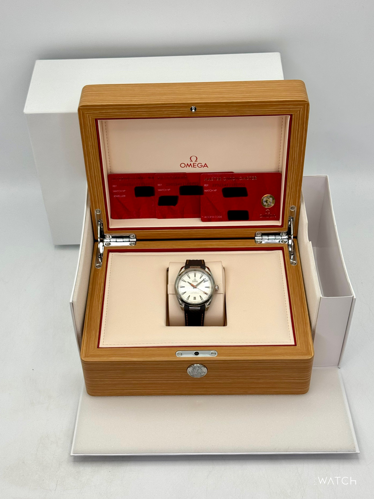 2025 Omega Seamaster Aqua Terra 41mm 220.12.41.21.02.002 Silver Dial - MyWatchLLC