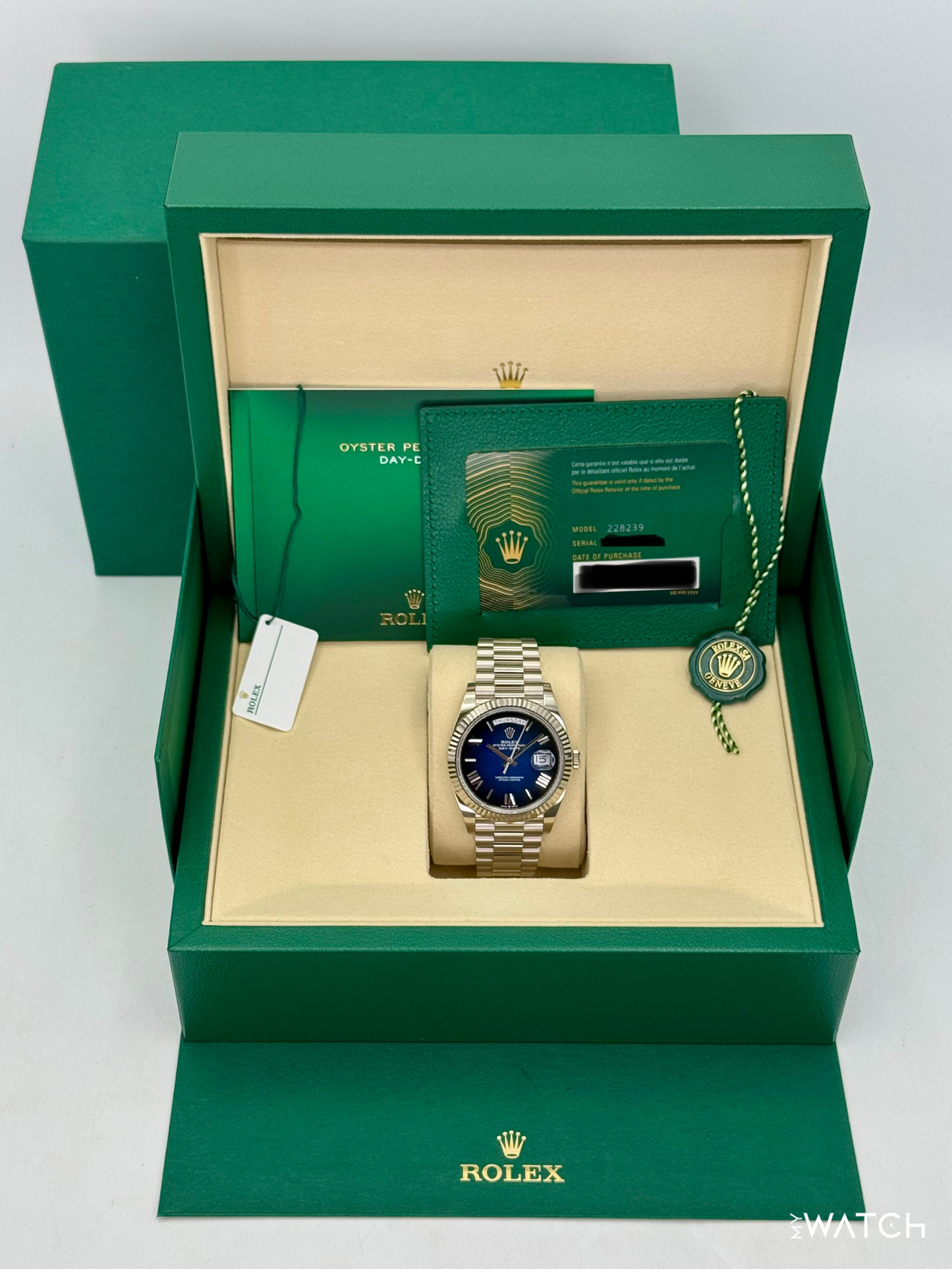 2025 Rolex Day-Date 40mm 228239 Presidential Blue Ombre Dial