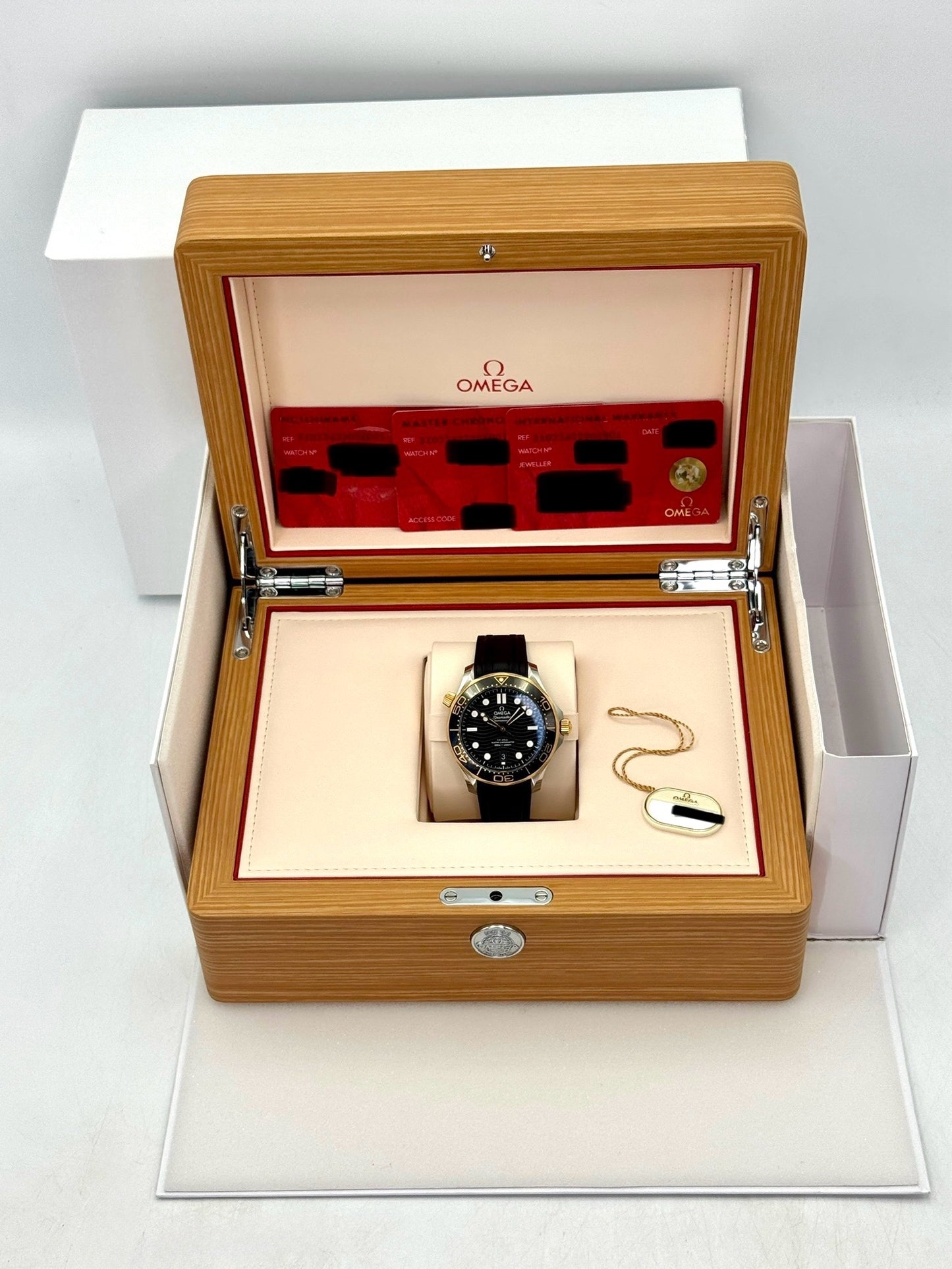 2025 Omega Seamaster Diver 300M 42mm 210.22.42.20.01.001 Black Dial