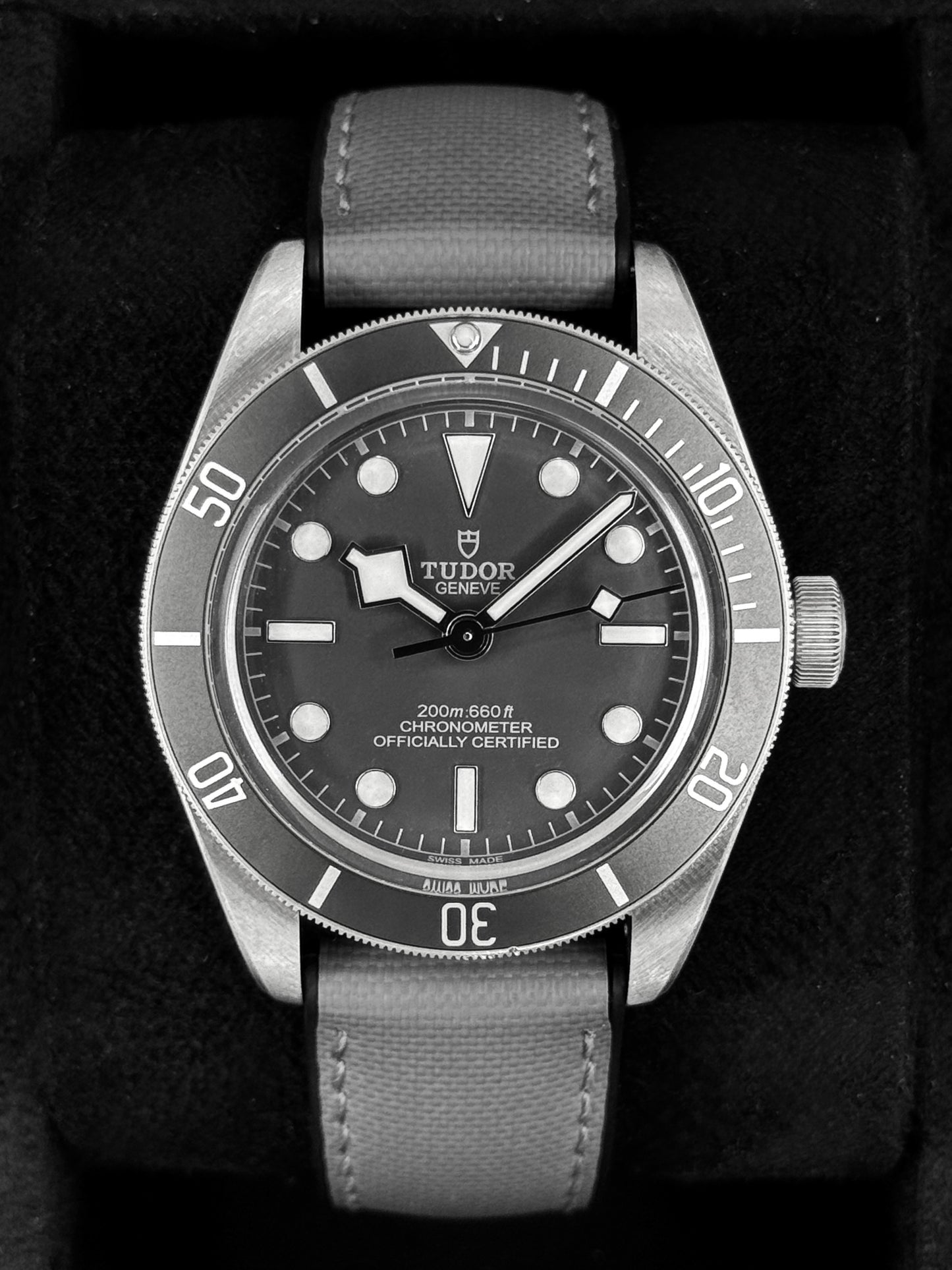 2025 Tudor Black Bay Fifty-Eight 925 Silver Edition 39mm 79010SG Taupe Dial