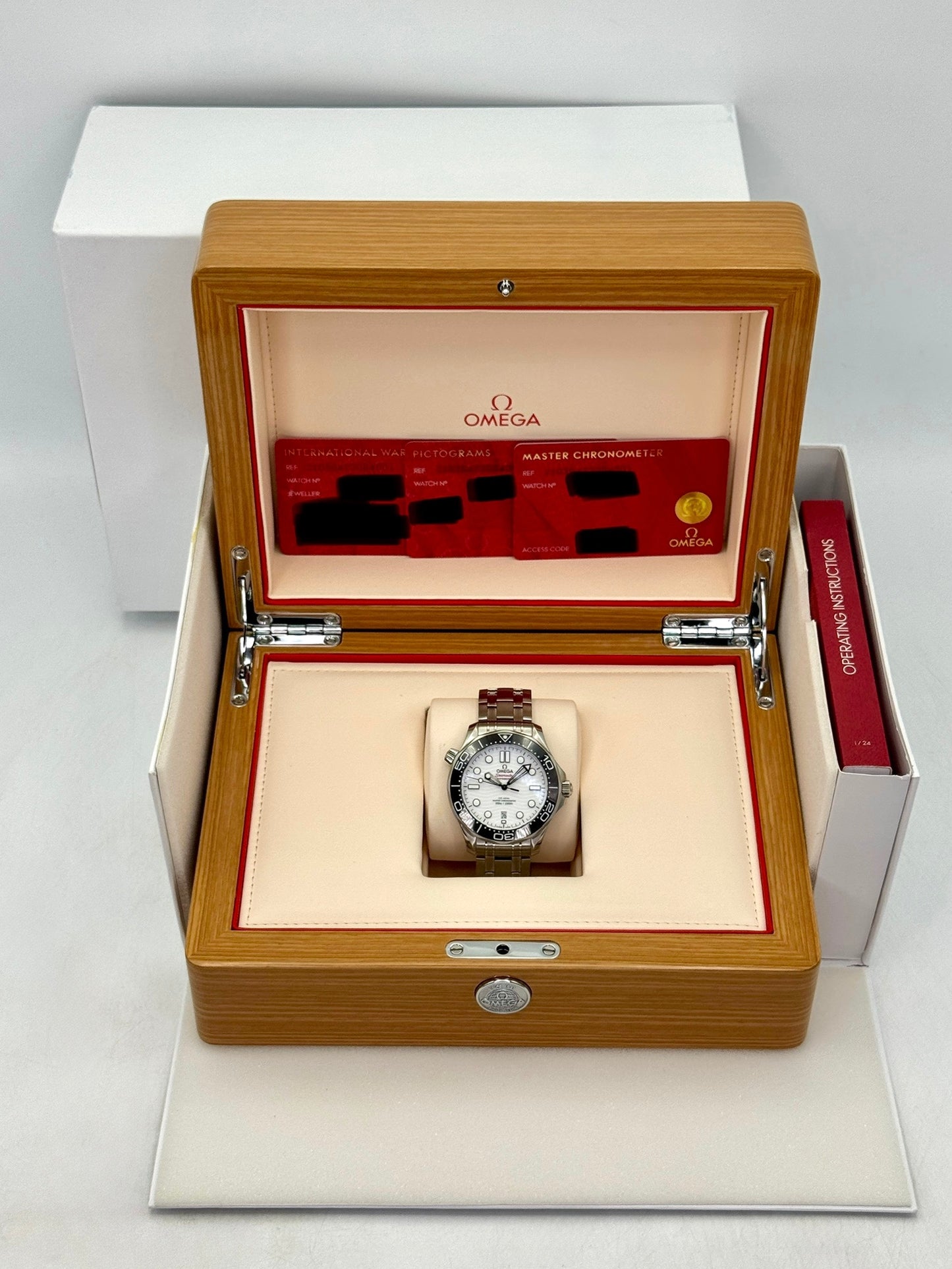 2022 Omega Seamaster 42mm 210.30.42.20.04.001 Stainless Steel White Dial