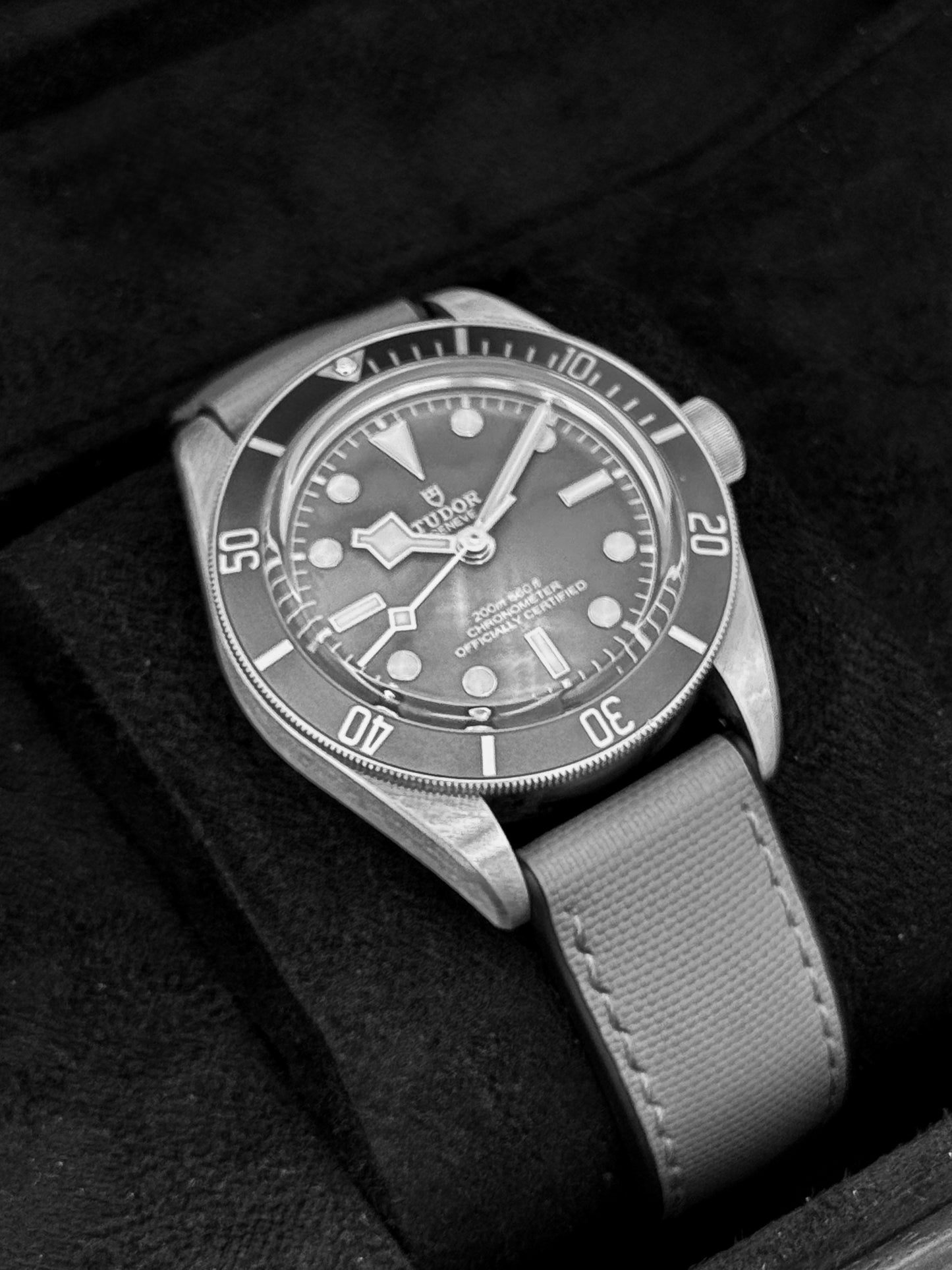 2025 Tudor Black Bay Fifty-Eight 925 Silver Edition 39mm 79010SG Taupe Dial