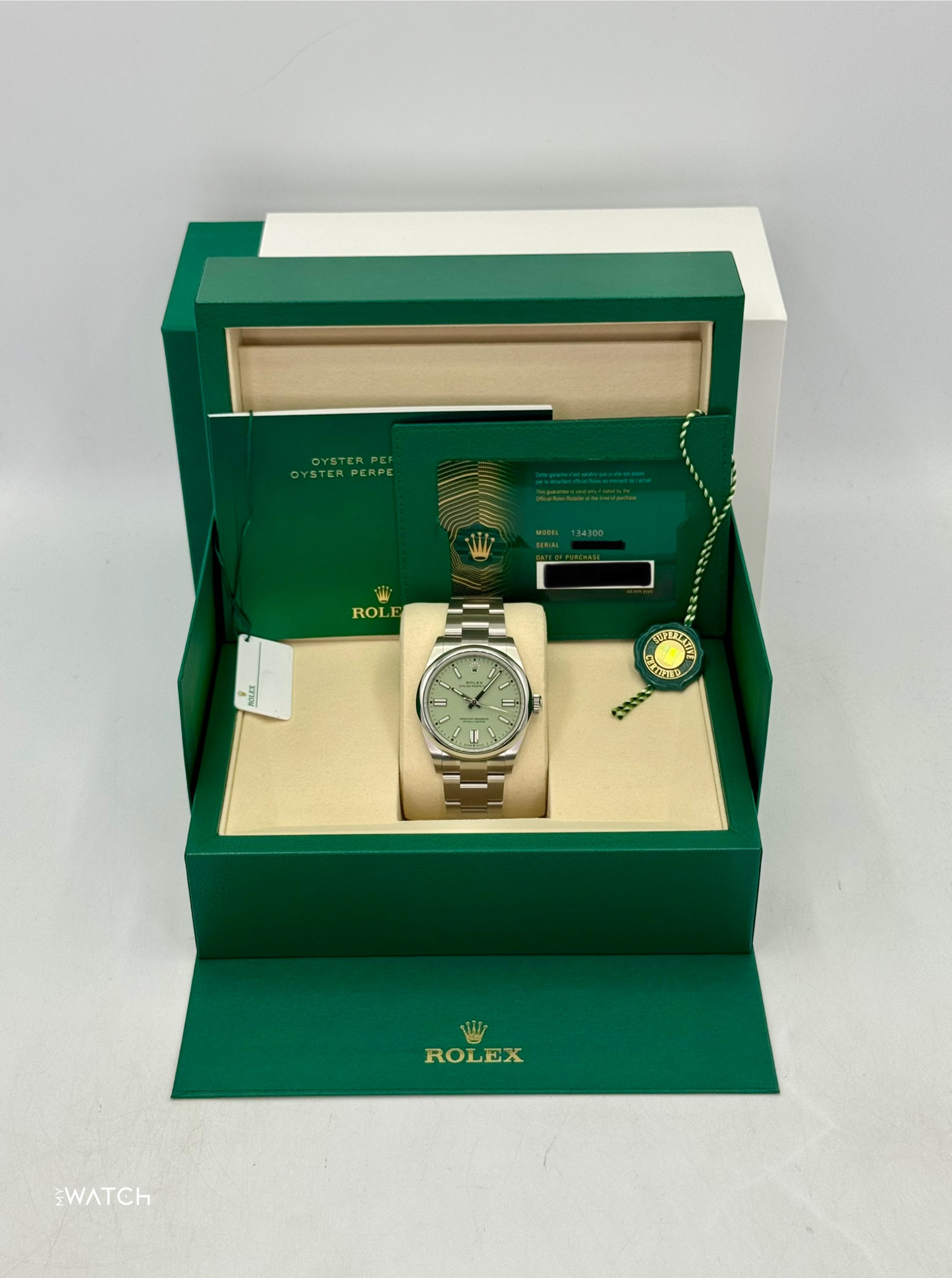 NEW 2025 Rolex Oyster Perpetual 41mm 134300 Pistachio Dial - MyWatchLLC
